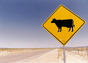 城市建造模拟游戏《再占一岛》 现已在Steam发售